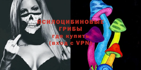 бошки Алзамай