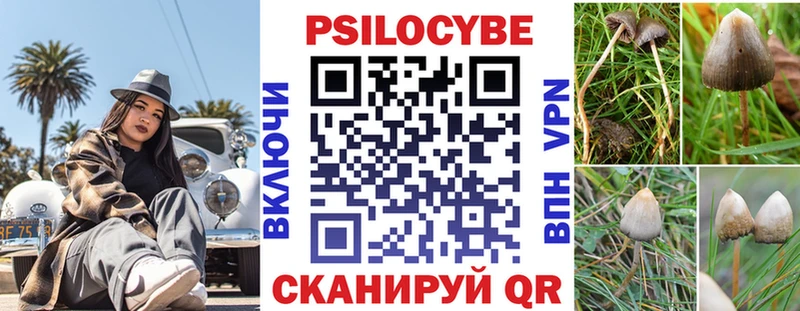 купить   Гусь-Хрустальный  Галлюциногенные грибы прущие грибы 
